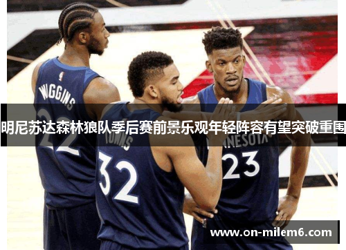 明尼苏达森林狼队季后赛前景乐观年轻阵容有望突破重围 明尼苏达森林狼队季后赛前景乐观年轻阵容有望突破重围