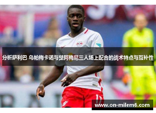分析萨利巴 乌帕梅卡诺与楚阿梅尼三人场上配合的战术特点与互补性