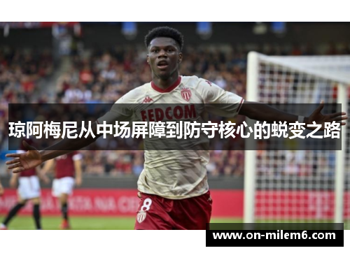 琼阿梅尼从中场屏障到防守核心的蜕变之路