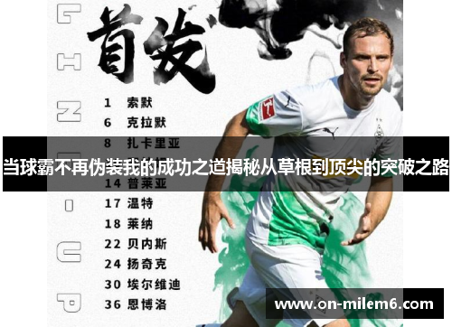 当球霸不再伪装我的成功之道揭秘从草根到顶尖的突破之路