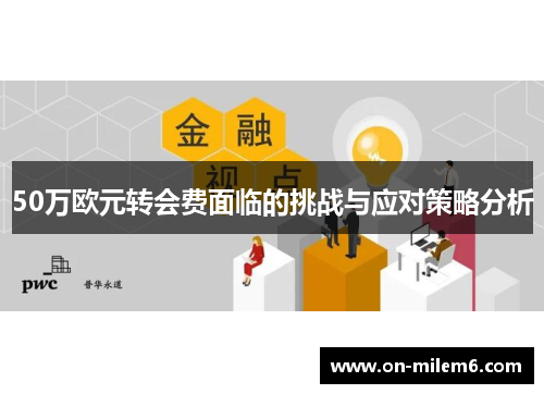 50万欧元转会费面临的挑战与应对策略分析 50万欧元转会费面临的挑战与应对策略分析