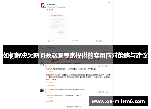 如何解决欠薪问题赵鹏专家提供的实用应对策略与建议