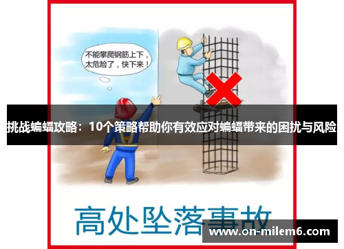 挑战蝙蝠攻略:10个策略帮助你有效应对蝙蝠带来的困扰与风险 挑战蝙蝠攻略:10个策略帮助你有效应对蝙蝠带来的困扰与风险