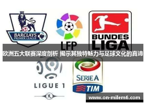 欧洲五大联赛深度剖析 揭示其独特魅力与足球文化的真谛 欧洲五大联赛深度剖析 揭示其独特魅力与足球文化的真谛
