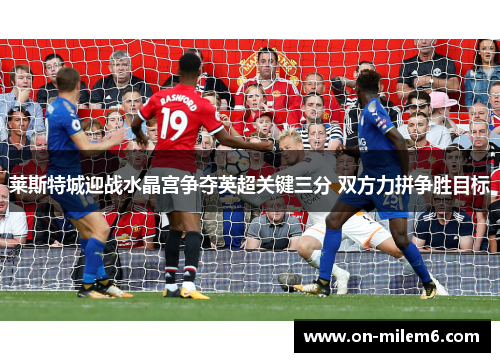 莱斯特城迎战水晶宫争夺英超关键三分 双方力拼争胜目标 莱斯特城迎战水晶宫争夺英超关键三分 双方力拼争胜目标