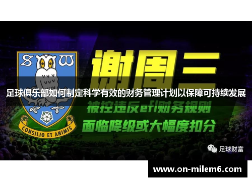 足球俱乐部如何制定科学有效的财务管理计划以保障可持续发展 足球俱乐部如何制定科学有效的财务管理计划以保障可持续发展